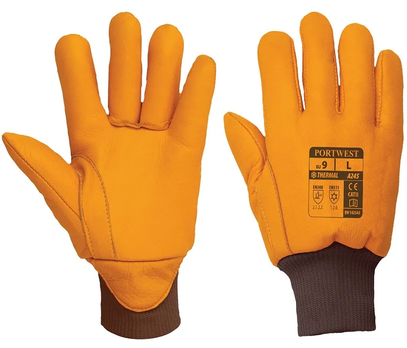 Gant Antarctica Insulatex cuir hiver